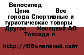 Велосипед Viva Castle › Цена ­ 14 000 - Все города Спортивные и туристические товары » Другое   . Ненецкий АО,Топседа п.